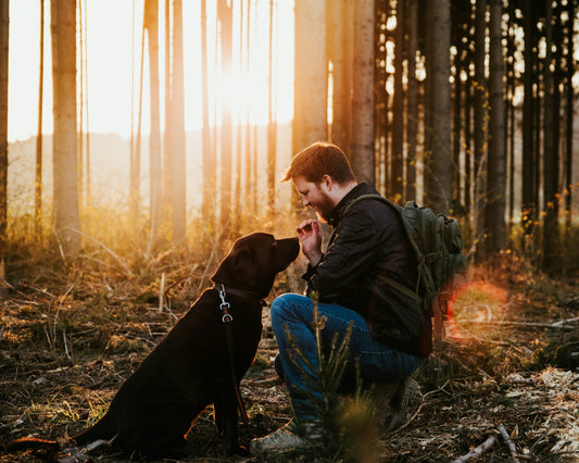 3 Simple Ways to Deepen Your Connection with Your Dog