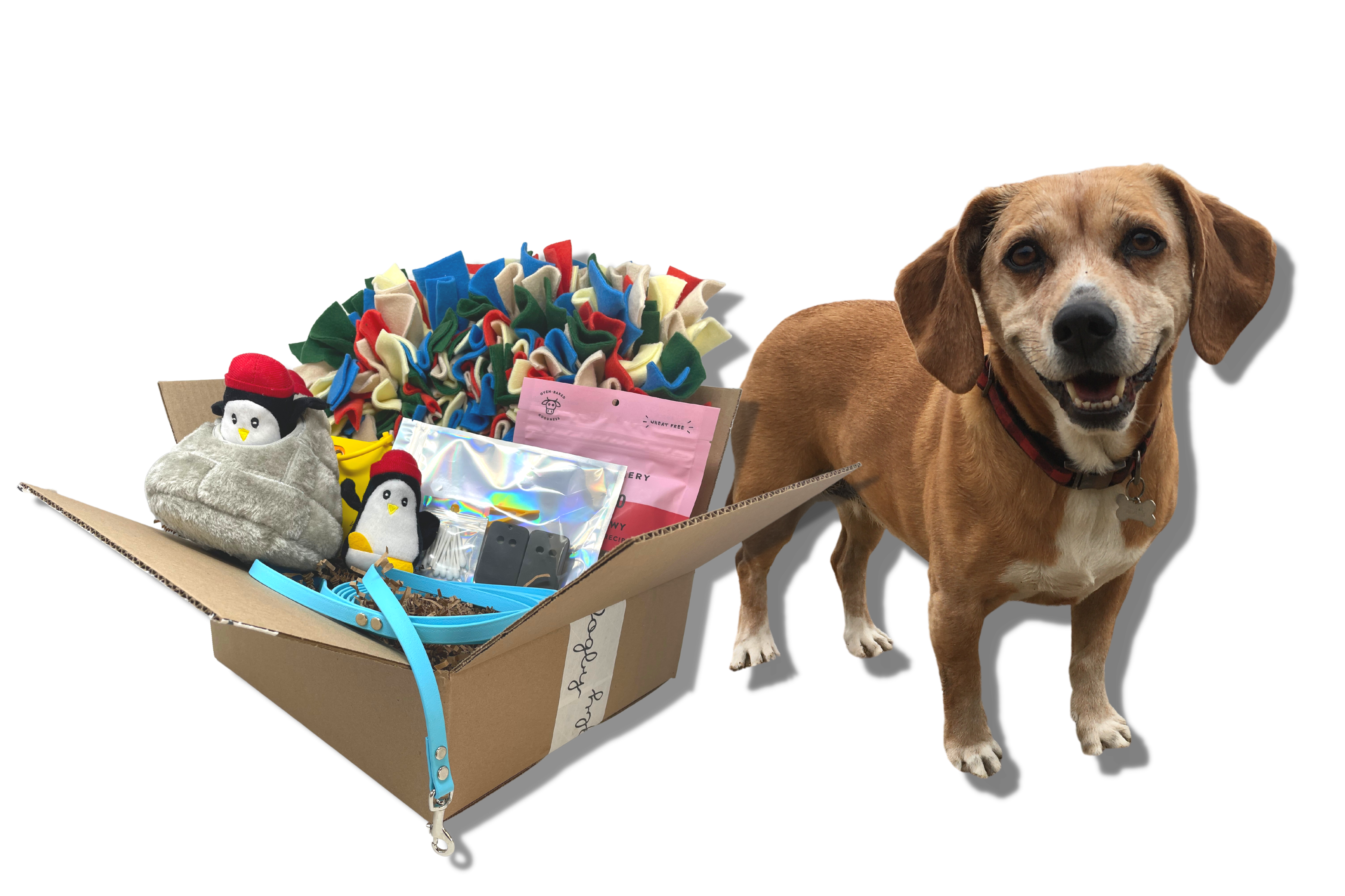 Engagement Toys – Discover Dogs