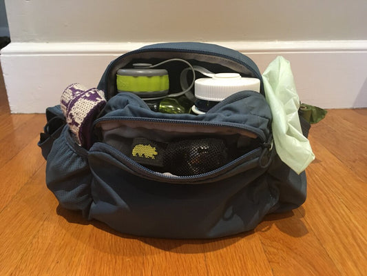 What I Pack for Summer Hikes with My Dogs